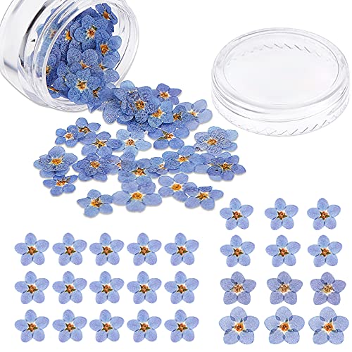 Nuanchu 50 Pieces Forget Me Not Dried Flowers Natural Real Pressed, Blue | for Resin Jewelry Making, Nail Art Decorations, Candle Card Crafts, DIY Ornaments, Pressed Flower Projects, Botanical