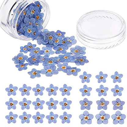 Nuanchu 50 Pieces Forget Me Not Dried Flowers Natural Real Pressed, Blue | for Resin Jewelry Making, Nail Art Decorations, Candle Card Crafts, DIY Ornaments, Pressed Flower Projects, Botanical