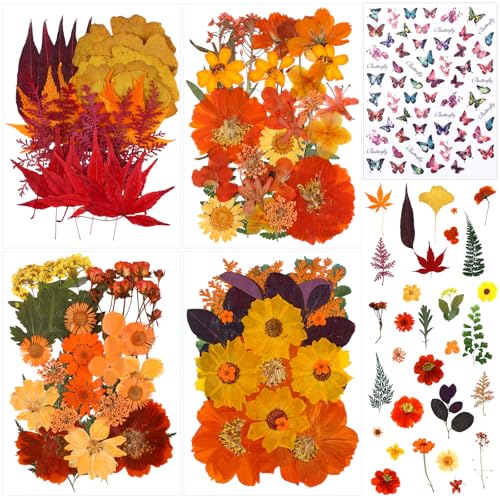 160 Pcs Pressed Flowers Bulk Real Natural Dried Flowers for Craft Resin Set Pressed Flower with Butterfly Stickers for DIY Jewelry Floral Decors Making Nail Art(Harvest,Orange) - color: Orange, style: Harvest
