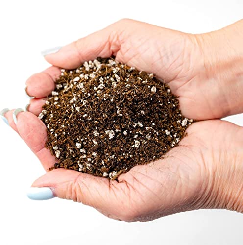 Premium Organic Seed Starter Soil - 20 Quart - All-Purpose Organic Potting Soil for Happy Seedlings and Plants by Gardenera (4 Bags of 5 Quarts) - size: 20 Quart Bag, style: #2 SEED STARTER MIX