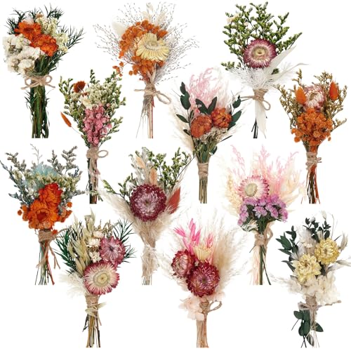Layhit 12 Pcs Mini Dried Flower Bouquet Boho for Wedding,African Daisy - style: Gerbera Daisy