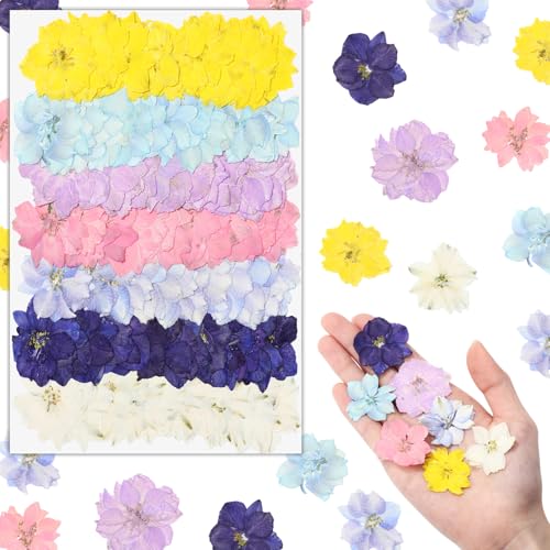 Woanger 100 Pcs Pressed Flowers Natural Bulk Resin Filler, Multicolor - color: Multi Color