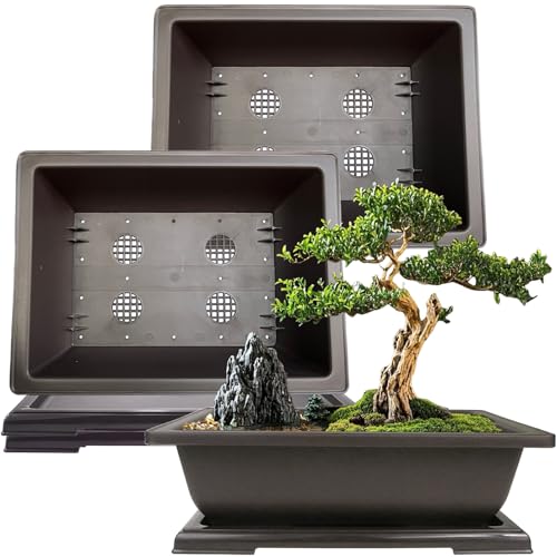 MUZHI 3PCS Large Rectangular Bonsai Tree Pots Planters with Tray 11" - size: 3PCS Rect XXL 11.2"