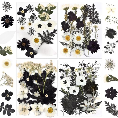 DALARAN Black Dried Pressed Flowers for Resin Molds, Bulk Real Natural Dry Floral for DIY Art Crafts, Epoxy Jewelry, Candle, Nails Decor, Phone Case,Soap Making