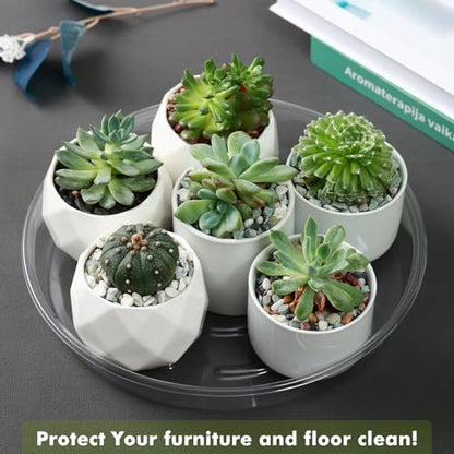 Plant Saucer 30 Pack Plant Trays for Pots 4/6/8/10/12 Inch Plastic Plant Saucers for Outdoors & Indoors Clear Drip Trays for Potted Plants Flower Pot Plates to Catch Water Drainage Dishes No Holes - size: 4/6/8/10/12 Inch - 30 Pack