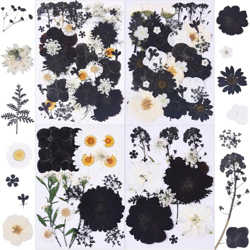 115Pcs Black Dried Pressed Flowers for Crafts,Xinxinran Dry Flowers Kit for Resin Molds,Epoxy Resin Accessories,Bookmark,Nails, Jewelry Molds,Candle Making Supplies,Soap,Frame - color: Black 115pcs