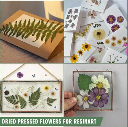 203 Pcs Dried Pressed Flowers for Resin Crafts, Real Natural Pressed Flowers and Leaves Kit Butterfly Stickers Vacuum Sealed Dry Flowers for DIY Epoxy Resin Jewelry Molds, Candle Soap Making, Nail Art - color: Sapphire 203pcs
