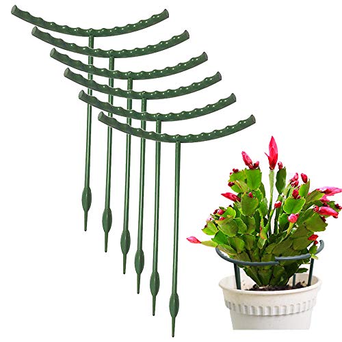 Mwellewm Plant Stakes Small Plant Supports for Indoor Plants Holder Sticks | 10 Pcs Half Round, Plant Rings, Plastic Cage, Short Stem, Flower Pot Climbing Trellis,for House Vegetable Outdoor 5.7x5.9Inch - size: 5.7 x 5.9inch