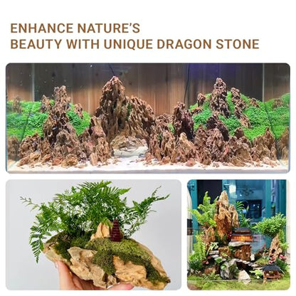 Aquariums Stones Natural Rocks 3lb Aquarium Rock for Fish Tank Aquascaping,Aquariums,Terrariums,Vivariums,Decorative Stone,Reptile Enclosures,Paludariums,and Gardens-（2-5 Inch） - size: 3LB (2-5 inch)