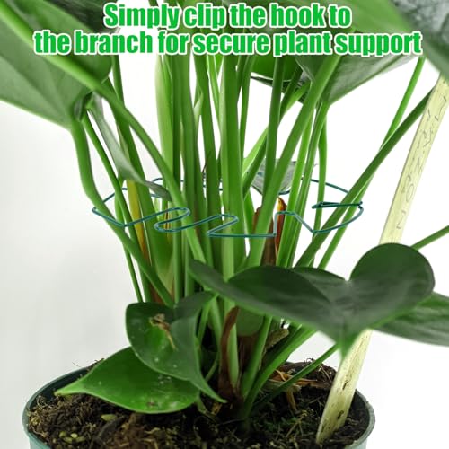Hysagtek 6PCS Monstera Plant Support, Plant Stem Support Durable Monstera Stabilizer Grapple Holder, Turtle Shell Bamboo Clamp Set, Ideal Plant Support for Thriving Growth