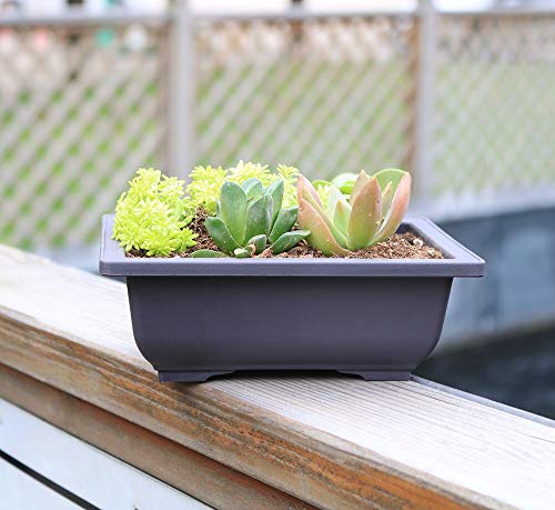 MUZHI 6PCS/Pack Retro Style Basin Plastic Flower Pot 6.5 Inch Flower Bonsai Tree Plant Bowl Nursery Pots Maceta Cuadrada Simulational Purple Sands Pots with Tray Rectangle Small - size: 6pcs small rect 6.5"