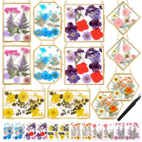 12 Pcs Pressed Flower Craft Kit for Women, DIY Floating Double Glass Frame Kit with Real Dried Flowers, Handmade Gift Art Project for Keepsake Creative Crafts Decor (Vintage,Gold) - color: Gold, size: Vintage
