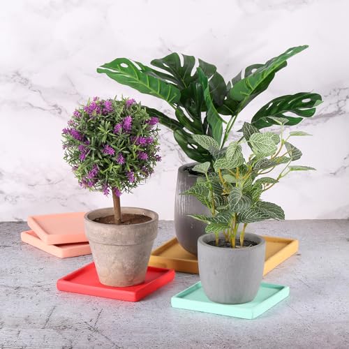 PATIKIL 5 Inch Plant Pot Saucers, 4 Pack Ceramic Square Plant Saucer Tray Flower Planter Drip Tray for Indoors Outdoors Patio Balcony, Dark Grey - color: Dark Grey