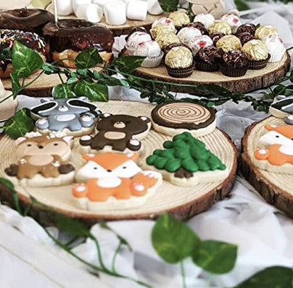 Set of (10) Medium 9-11" Wood Slices for Centerpieces! Wedding and Baby Shower centerpieces (Set of 10 Medium (9-11")) - size: Set of 10 Medium (9-11")
