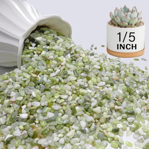 NUPICK 3 lbs Pebbles for Indoor Plants, 1/5 Inch Pea Gravel for Fish Tank | Polished Decorative Rocks for Succulent, Natural River Stones for Vases, Cactus, Landscaping, Bird Bath, Aquarium, Jade - color: Jade, size: 3 lb