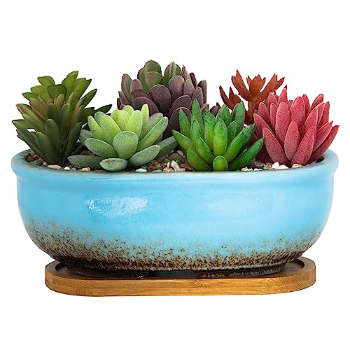 Succulent Pots, 7.9 Inch Large Succulent Planters with Drainage Tray - color: Light Blue