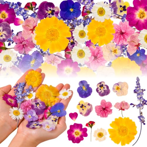 70-Piece Edible Pressed Flowers, 11-Kind Cake Topper and Cocktail Mix | Food-grade Flowers, viola, rose, lavender, sakura, calendula and daisy for cocktails, desserts, garnishes and crafts.