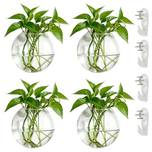 NUPTIO Glass Wall Hanging Planters: Propagation Station for Plants, 4 Pcs | Wall Mount Clear Vase, Terrarium for Indoor, Outdoor, Living Room, Garden, Balcony Decor, Air Plant Hydroponic Containers - size: 4 Pcs