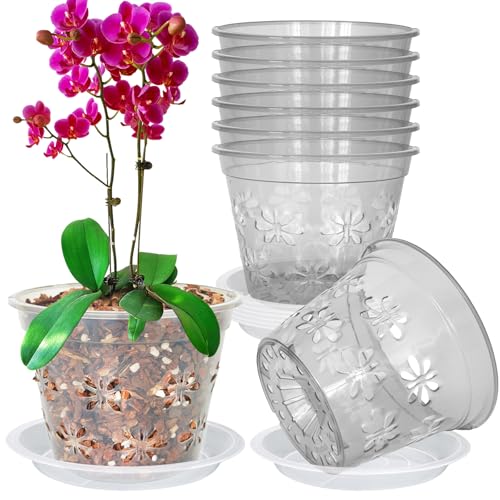 Orchid Pot, 8 Pack 6 inch Orchid Pots with Holes & Saucers, Clear Plastic Pot for Repotting, Breathable Ventilation Planters for Phalaenopsis, Dendrobium & Oncidium Orchids(Grey) - color: Gray, size: 6'' 8pack