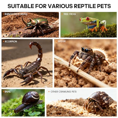 Acrylic Reptile Terrarium, Tarantula Enclosure(Tweezers & Bowl Included) | Reptile Tank with Magnetic Door for Spiders, Mantis, Frogs, Snails & Isopods, 11.4"x7.8"x5.9"