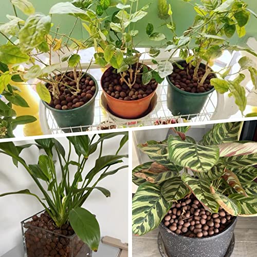 Jabrand All-in-One Plant Care Kit – LECA Clay Pebbles, Artificial Moss & Self-Watering Globes for Hydroponics, Orchids, Indoor & Outdoor Garden Plants