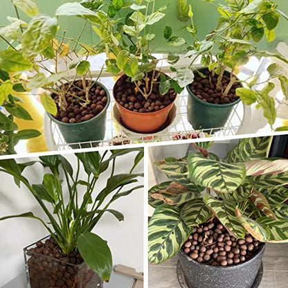 Jabrand All-in-One Plant Care Kit – LECA Clay Pebbles, Artificial Moss & Self-Watering Globes for Hydroponics, Orchids, Indoor & Outdoor Garden Plants