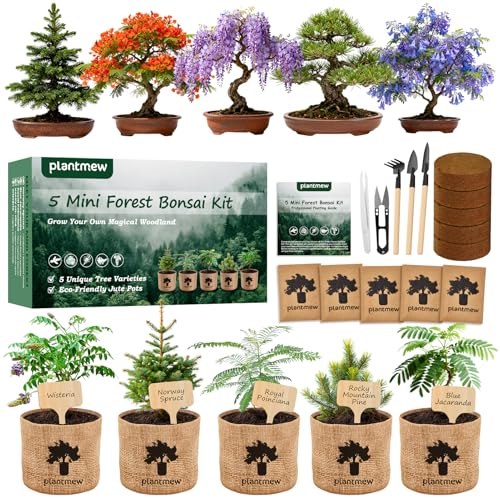 Christmas Gifts & Crafts for Adults - Bonsai Tree Starter Kit with 5 Unique Japanese Trees | Complete DIY Gardening Kit for Birthday | Gifts for Women, Men, Mom, Dad, Plant Lovers