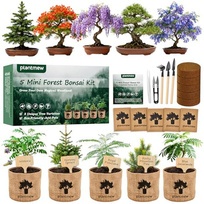 Christmas Gifts & Crafts for Adults - Bonsai Tree Starter Kit with 5 Unique Japanese Trees | Complete DIY Gardening Kit for Birthday | Gifts for Women, Men, Mom, Dad, Plant Lovers