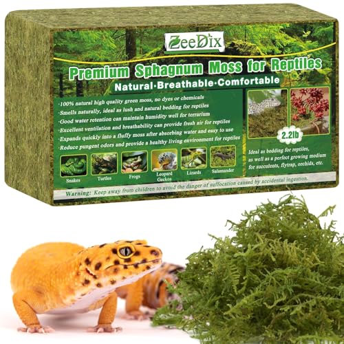 2.2 lb Sphagnum Moss for Reptiles | 60 qt Reptile Bedding Substrate Tank Accessories Moss, Green Forest Moss for Leopards Geckos Snakes Turtles Frogs - color: 2.2lb