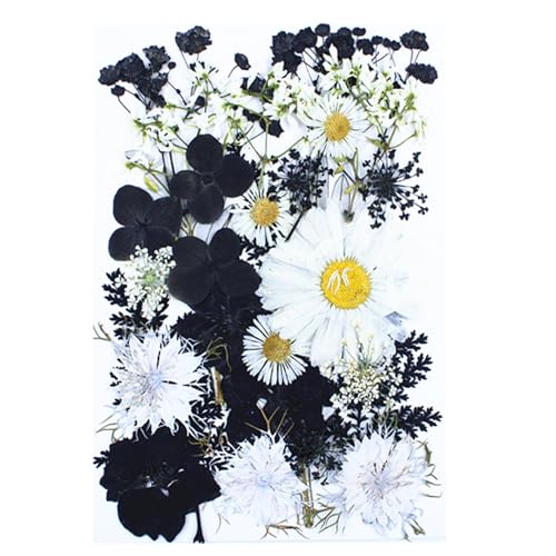 30Pcs Dried Pressed Flowers for Resin DIY Art Crafts Natural Dry Floral Daisy Epoxy Jewelry Real Flower Painting Decor Cakes Bookmarks Phone Cases Candles Handmade Black&White - color: Black&White A