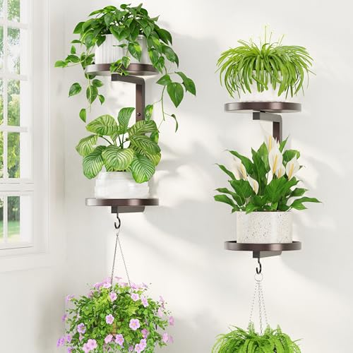 LASZOLA Plant Hanger Holder Window Shelf Wall Mounted Indoor, 2 Pcs Bronze | Modern 2 Tier Metal Floating Stand, Hanging Flower Display Rack, with Hooks for Outdoor Home Kitchen Decor - color: Classic Bronze, size: 2