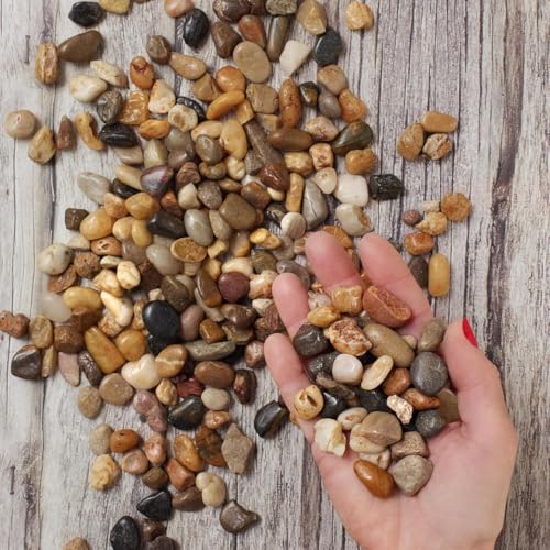 Royal Imports River Rocks, Aquarium Gravel – Natural 0.5"- 0.75" - 30 lbs - size: Small - 30 lbs, style: Natural