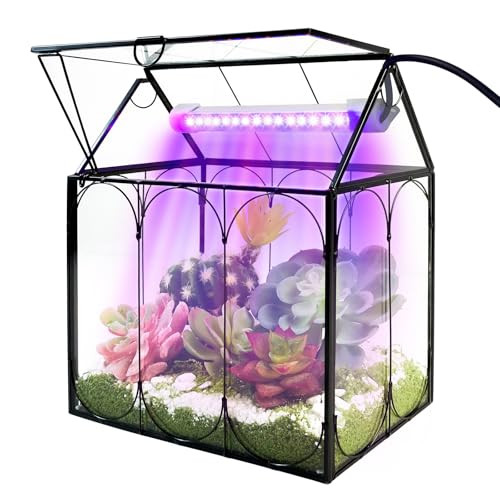 RIFNY Plant Terrarium with Grow Light, Glass Terrarium 8.9 x 5.9 x 9.9 Inch - size: Black-Large with Plant Light