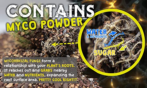 High Drainage Cactus Soil Potting Mix with Mycorrhizal Fungi - 8 Pounds / 4 Quarts of Soil for Succulents and Cactus - Slightly Acidic, Gritty Soil for Healthy Indoor Plants - Spike & Bloom