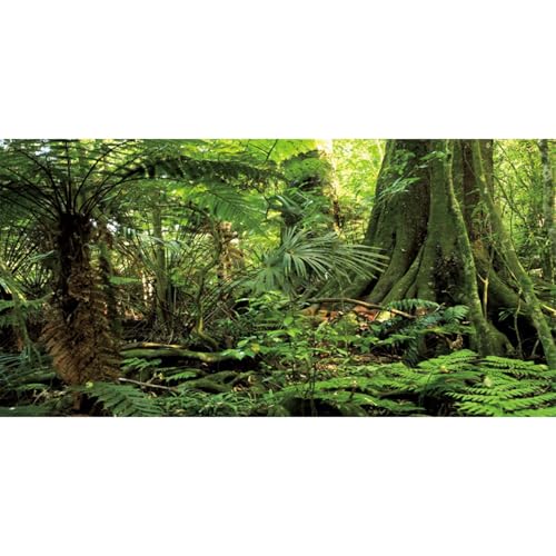 30x18 in Terrarium Backdrop Green Forest Tree Reptile Habitat Background | AWERT Stone Huge Tree Tropical Rainforest Aquarium Background Durable Polyester - size: 30x18in/75x45cm
