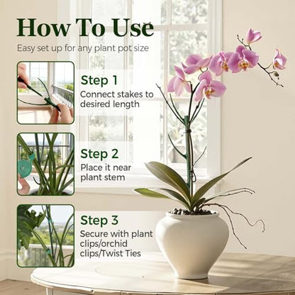 10 Packs Stackable Monstera Plant Support Stakes for Small Potted Plants | Height Adjustable Plant Supports, Linkable, Ideal for Small Indoor Pothos, Monstera, Philodendron, Ivy & Climbing Vine Plants