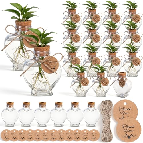 Baderke 24 Pack 3.74'' Plastic Plant Propagation Stations with Hole Lid 5oz Planter Vase Clear Propagation Jars with Thank You Tags for Plant Lover Gifts for Women Office Home Garden - style: Heart