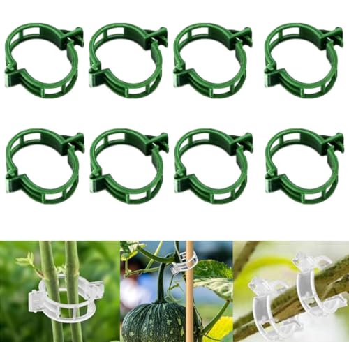 100PCS Secured Plastic Plant Clip,2026 Upgrade Plant Support Clips Reusable Garden Clips for Grape, Plant Fixing Clips Tomato Trellis Clips Vine Plant Support-Green