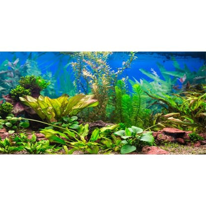30x18 in Aquatic Plant Aquarium Backdrop Riverbed Fish Tank Background | AWERT Lush Underwater Green Plants Lake Landscape Vinyl Aquarium Background - size: 30x18in/75x45cm