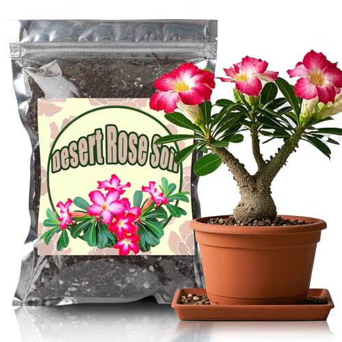 Doter Organic Desert Rose Potting Soil Mix for Healthy Growth 4qt - 100% Natural Potting Mix - Specially Formulated Nutrient-Rich Plant Soil for Desert Rose Plant - size: 4qt