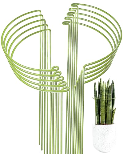 10-Pack Plant Support Stakes, Heavy Duty Steel Plant Stakes as Monstera Plant Support & Peony Cages, Metal Garden Stakes for Indoor Outdoor Plants, Snake Plant & Vine Support, 10" W x 15.8" H