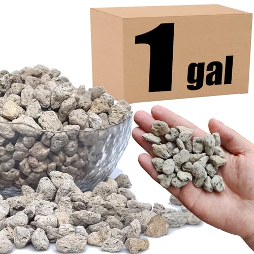 Organic Pumice for Bonsai and Horticultural 100% Natural (1 gallons, 1/2 inch) - color: 1 gallons, size: 1/2 inch