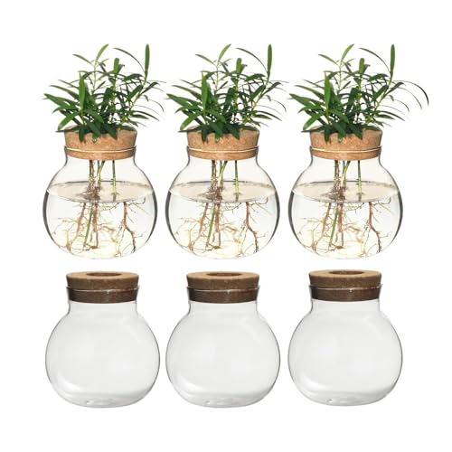 Plant Propagation Station,Hydroponic Terrarium Vase,Desktop Glass Planter Station,for Houses,Garden Decorations,ropagating Hydroponic Plants,Centerpiece Office,Home Garden Decor (6)