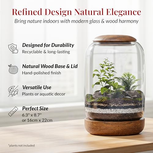 Exclusive Glass Terrarium with Natural Wood Lid and Base, Excellent for Plants and Decoration for Home or Office, Size: 8.7" Tall (22 cm) by 6.3" Wide (16 cm)