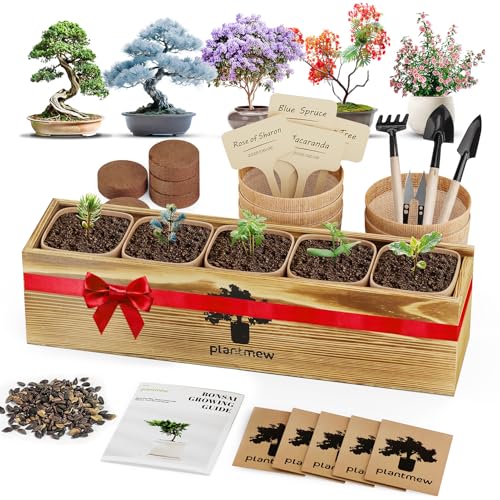 Bonsai Tree Kit for Beginners - 5 Unique Japanese Bonsai Seeds, DIY Indoor Gardening Crafts for Adults | Valentine's, Mother's Day & Birthday Gifts for Women and Men | Complete Starter Kit with Tools