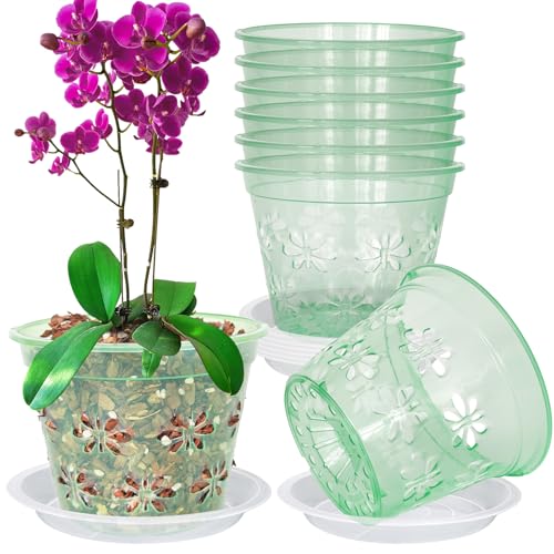 Orchid Pot, 8 Pack 6 inch Orchid Pots with Holes & Saucers, Clear Plastic Pot for Repotting, Breathable Ventilation Planters for Phalaenopsis, Dendrobium & Oncidium Orchids-Green - color: Green, size: 6'' 8pack