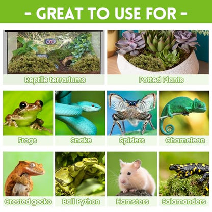 Riare 3.5oz Natural Sphagnum Moss for Reptiles, Terrarium Substrate Bedding | High Expansion, Moisture Retention, Helps Shedding, Long Fibered Dried Moss for Leopard Gecko, Snake, Frog, Turtle - color: 3.5 OZ
