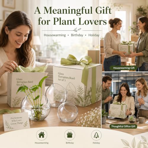 3 Pack Glass Terrarium Bowls for Air Plants, Clear Hydroponic Plant Propagation Vases with Wide Opening, Mini Indoor Garden Containers for Succulents, Pothos and Desk Decor