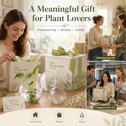 3 Pack Glass Terrarium Bowls for Air Plants, Clear Hydroponic Plant Propagation Vases with Wide Opening, Mini Indoor Garden Containers for Succulents, Pothos and Desk Decor