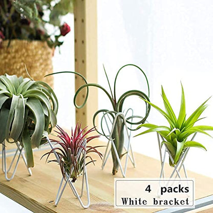 4 Packs Airplant Plants Holder Metal Base Geometric Air Plants Stand Tabletop Air ferns Planter Rack White Tillandsia Display Containers Himmeli Decor . - color: White